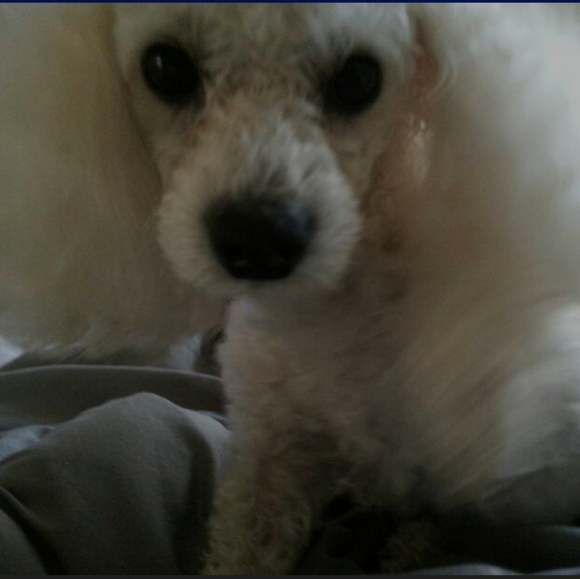 Make an offer on any item!😊 - Picture 1 of 5